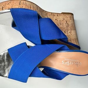 CLASSY AND TIMELESS blue wedges